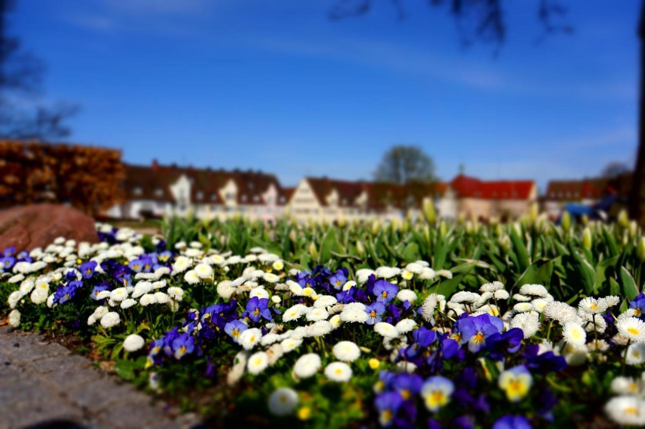 Fewo Schwarzwaldfreude Freudenstadt Bagian luar foto